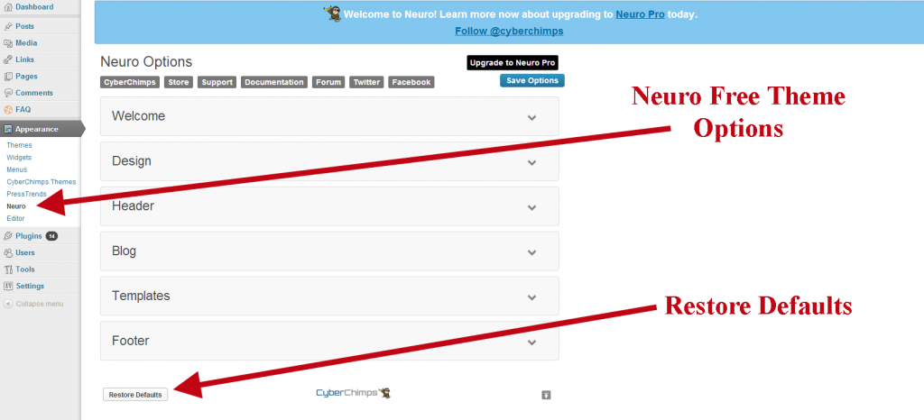 Neuro Free Theme Options