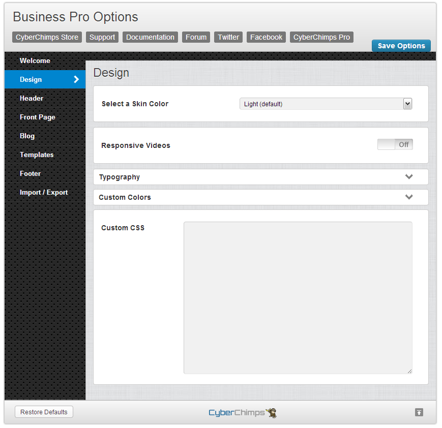 Business Pro Theme Options Overview