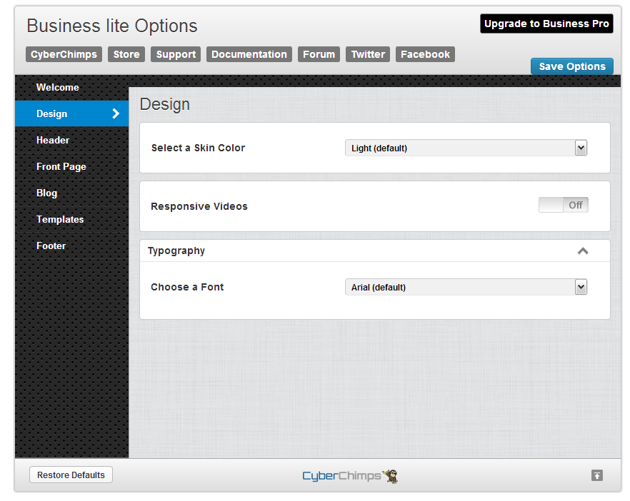 Business lite Design Options