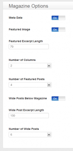 Magazine_Options_Blog