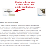 Portfolio in Page with Caption