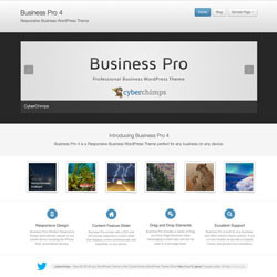 bizpro4thumb