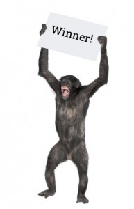 chimp holding sign saying "winner!"