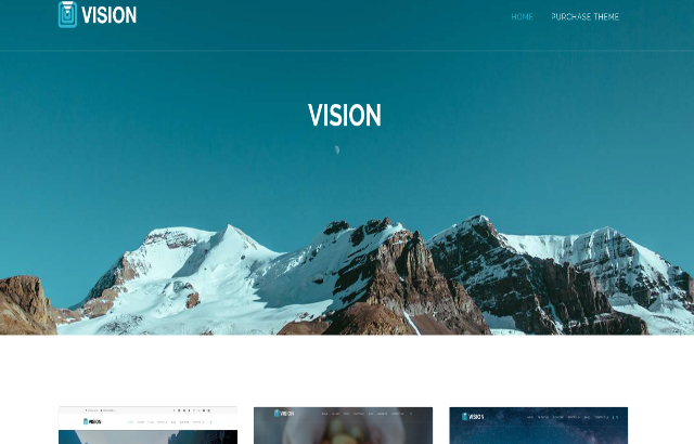 Vision WP theme