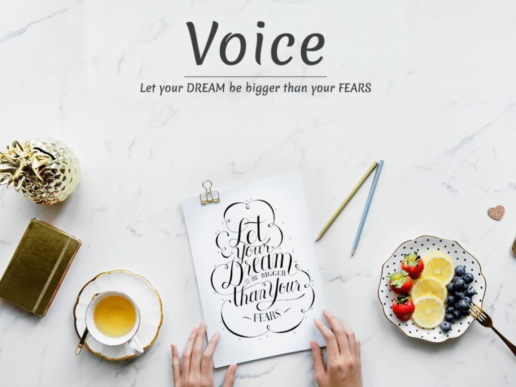 Voice Blog - Free WordPress Blog theme