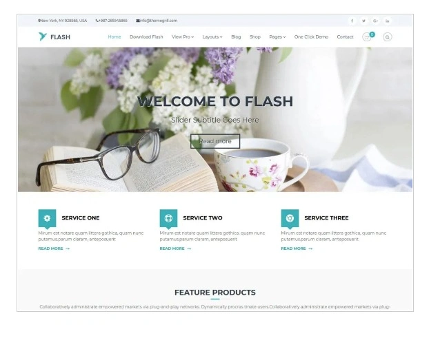 flash wordpress theme