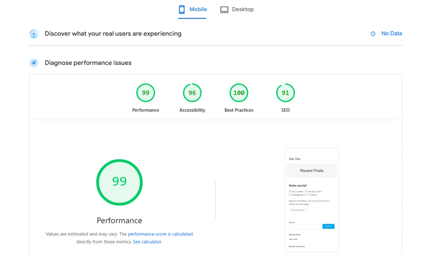 PageSpeed Insights Oceanwp