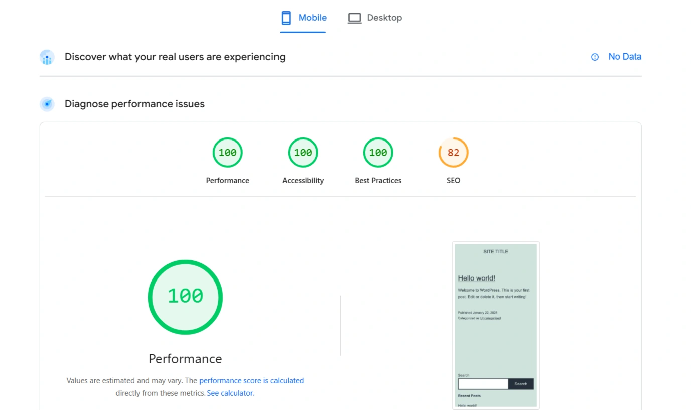 PageSpeed Insights Twenty Twenty-One