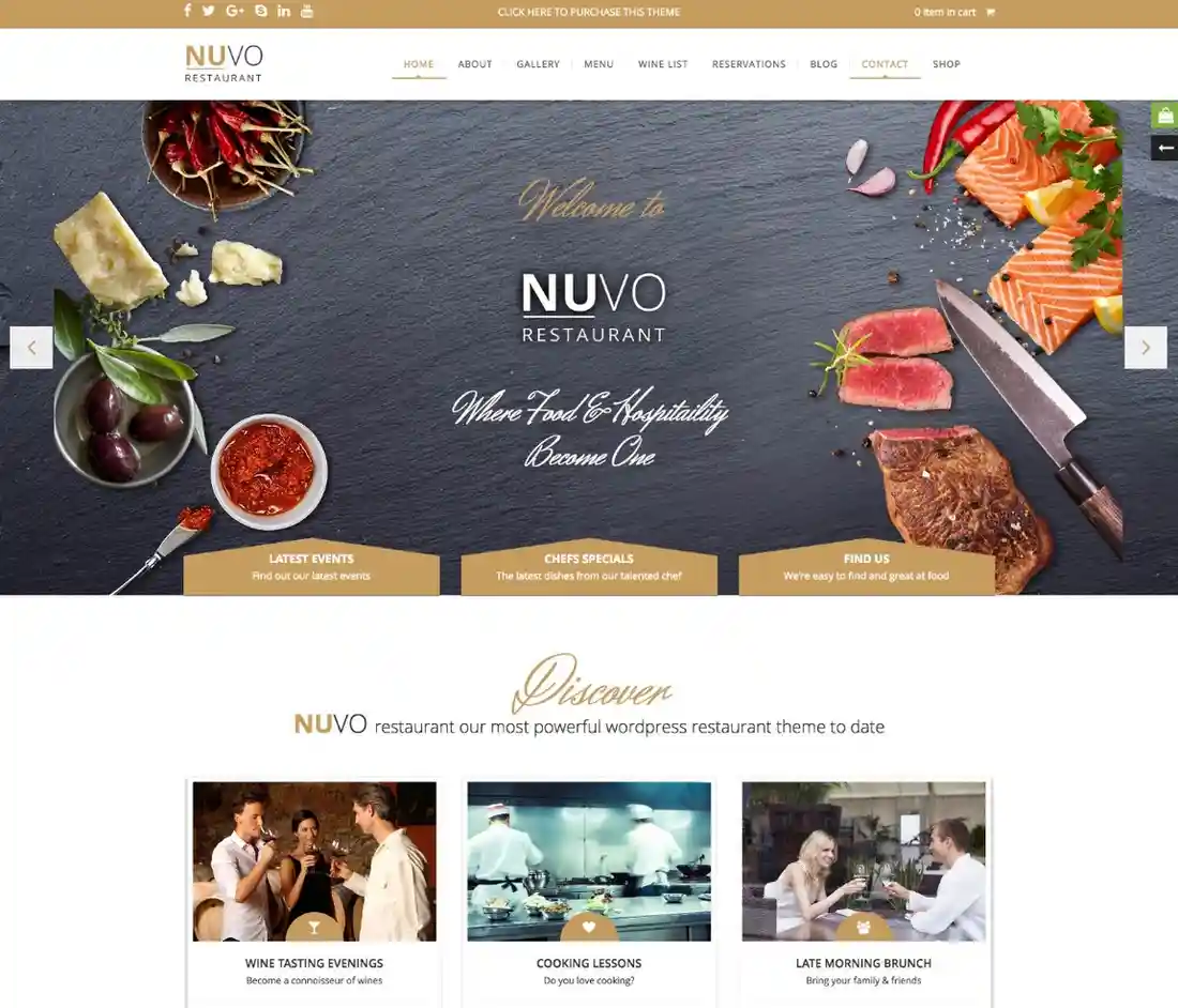 Nuvo wordpress theme