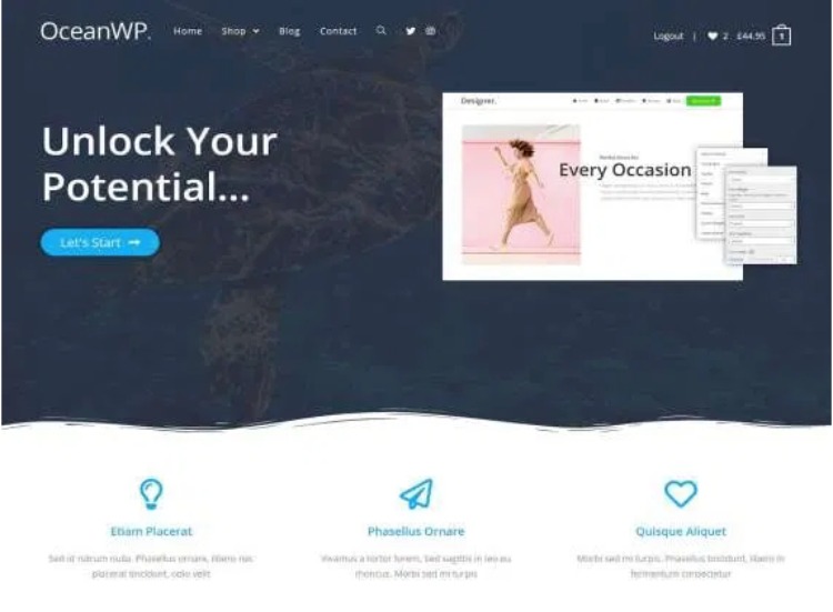 Ocean WP- WordPress theme