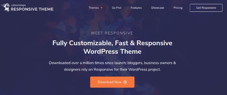 Responsive Pro- WordPress theme