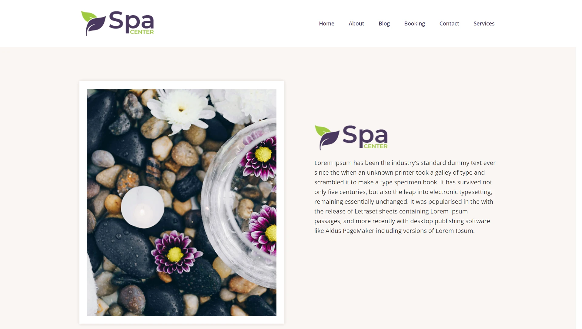 spa website templates