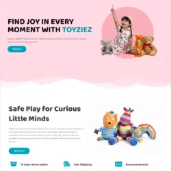 Toy Delivery Pro WordPress Template