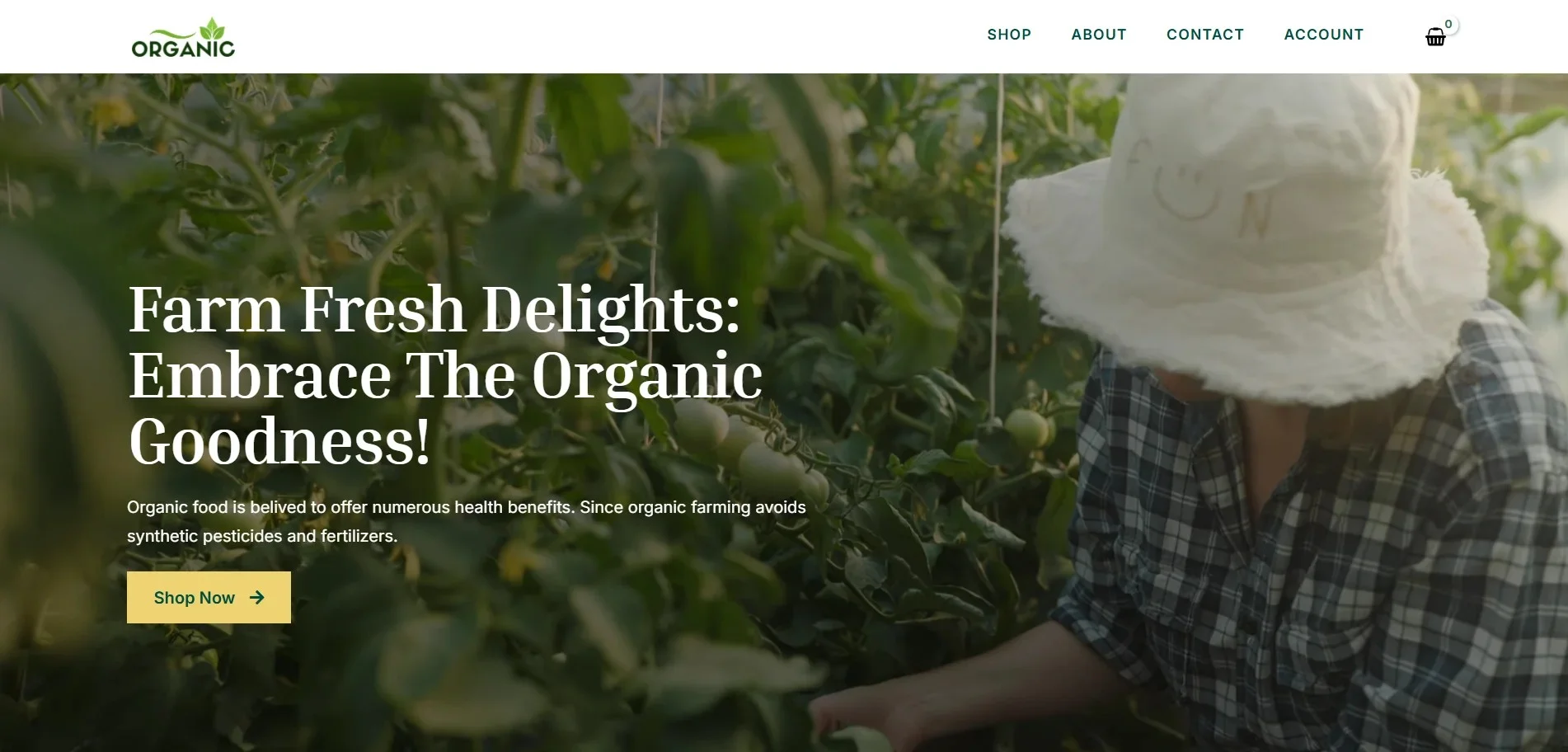 Organic product store WordPress website template