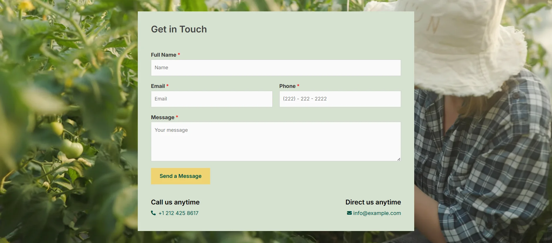 Organic product store - contact page