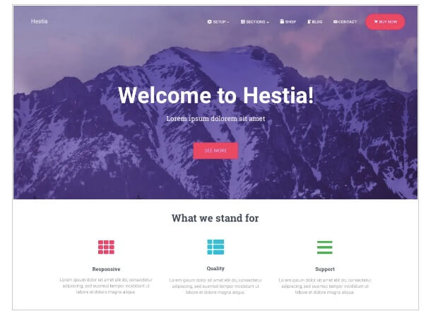 Hestia E-Commerce WordPress theme