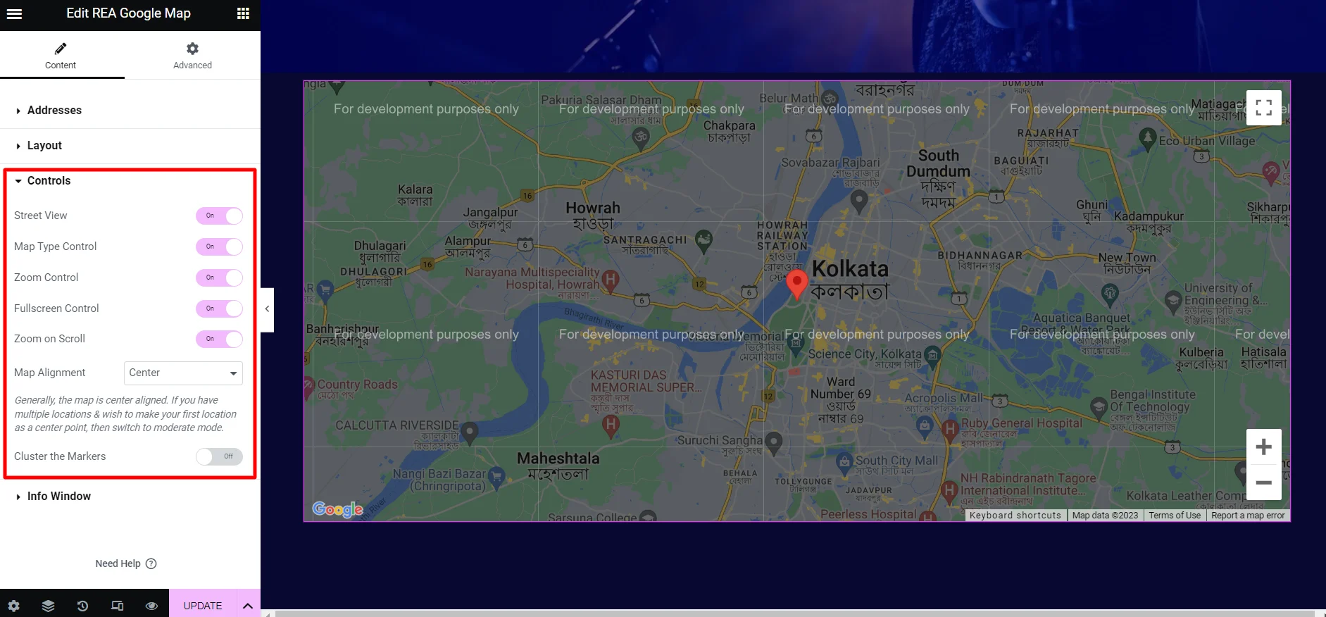 REA Google Maps- Controls