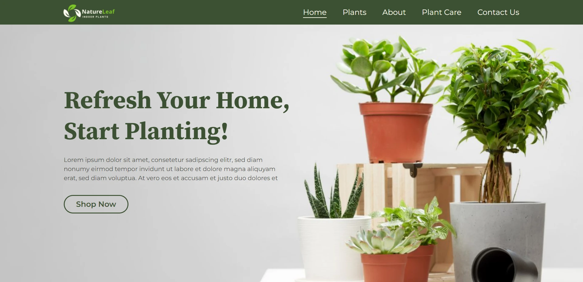 Plant Store Starter Template