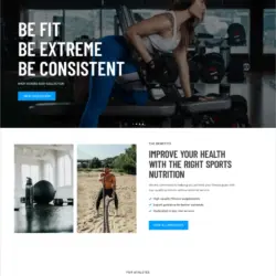 Fit Store WordPress Template