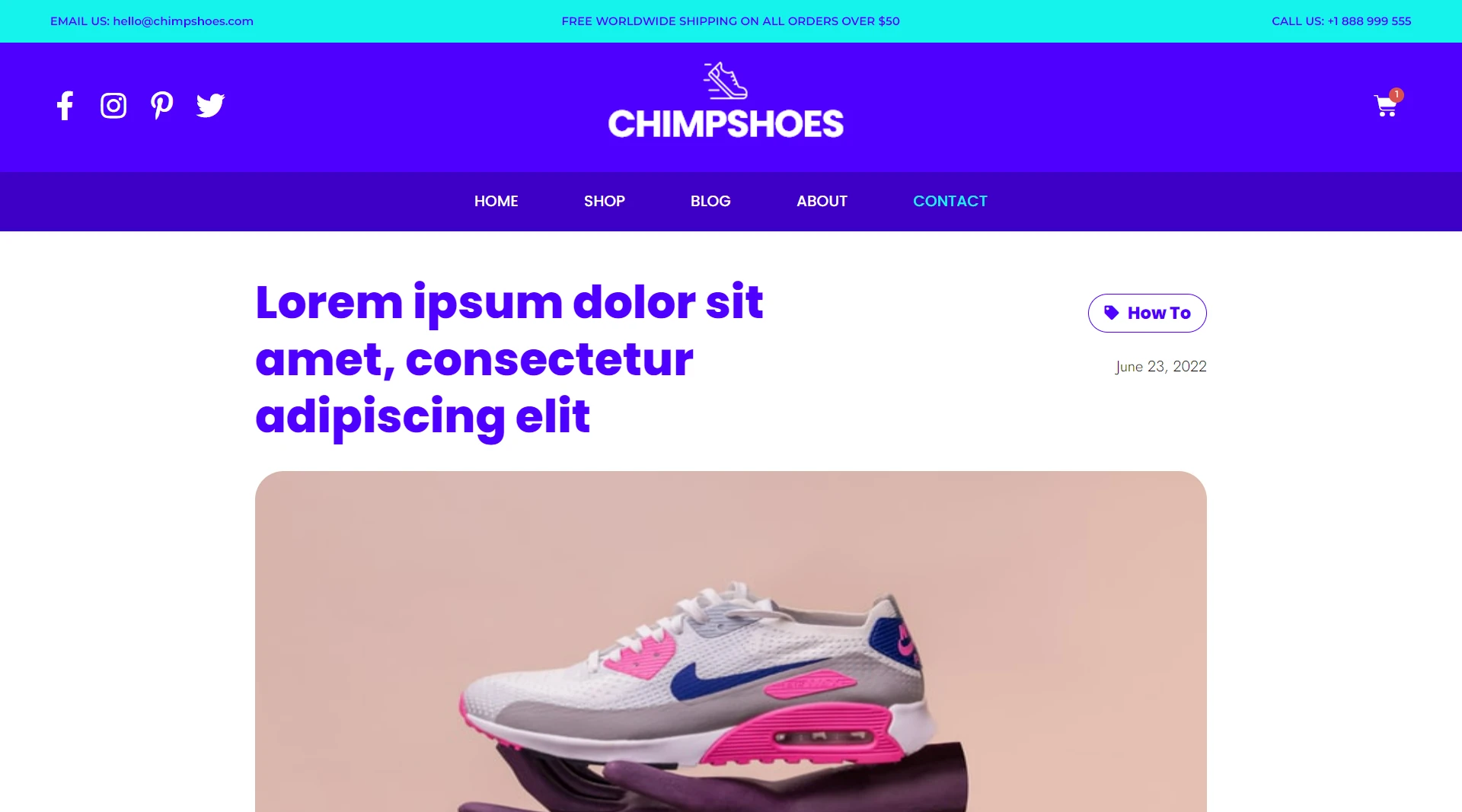 Shoes Store-Single-Blog