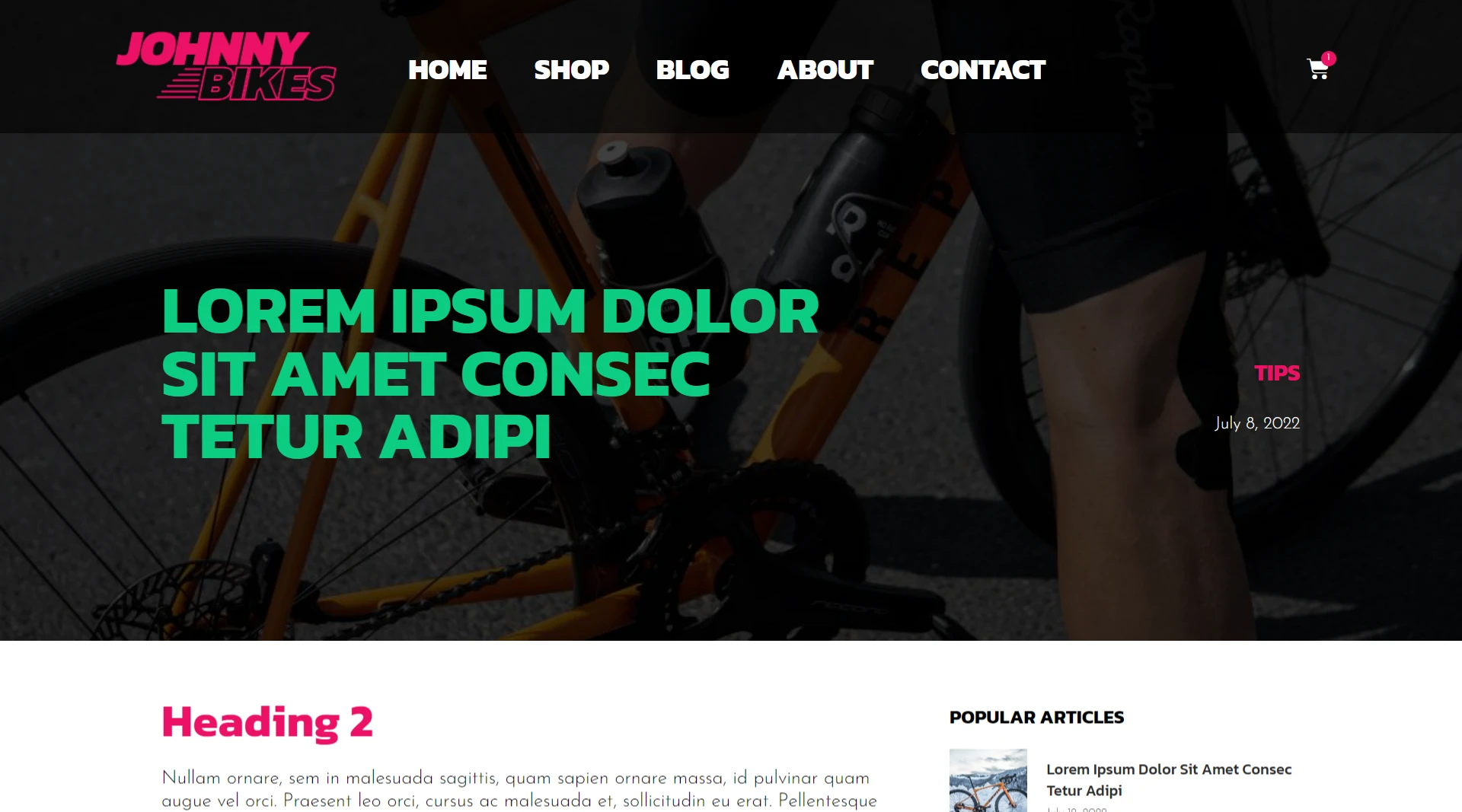 Bike Store-Blog-Page