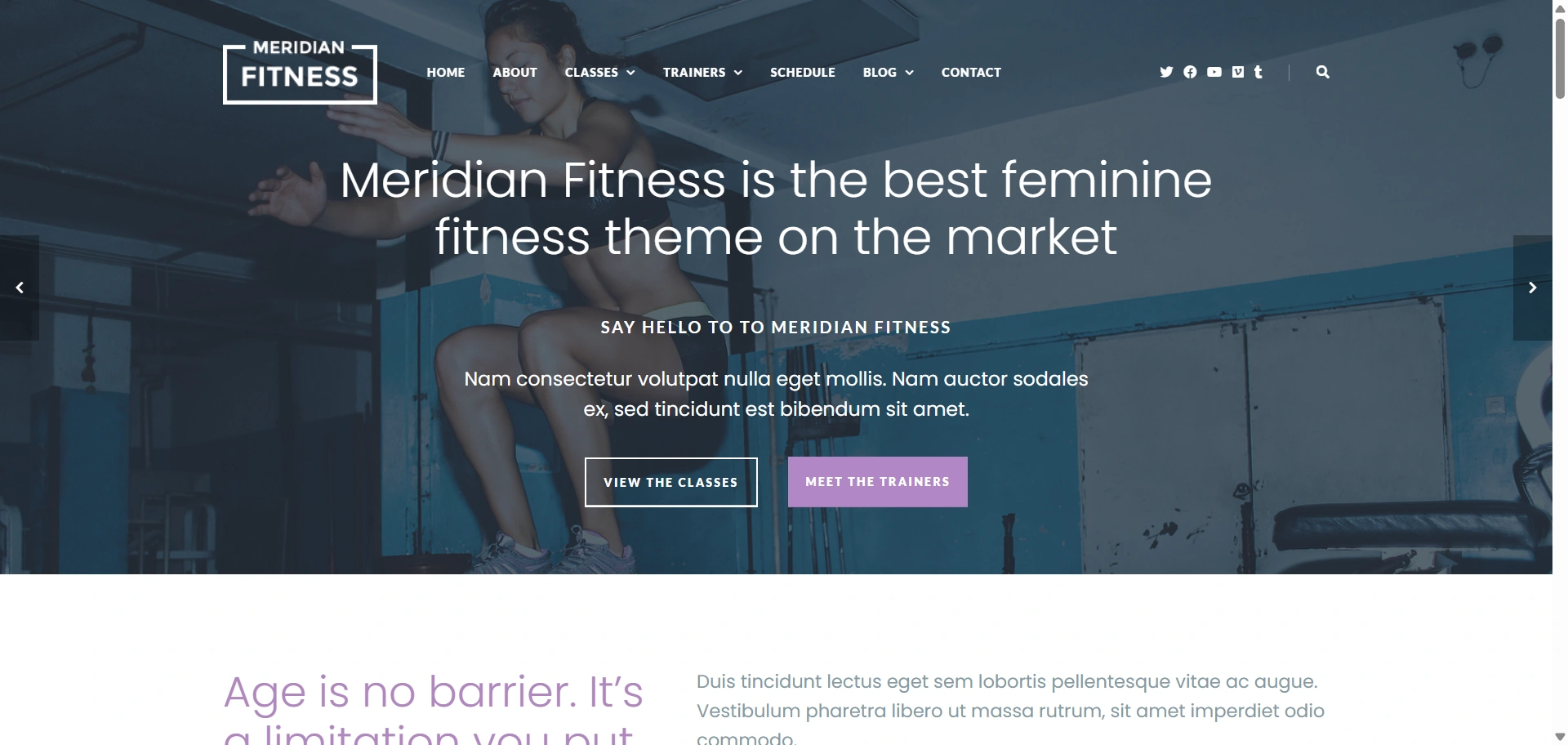 Meridian Fitness - Woman-centric WordPress fitness theme