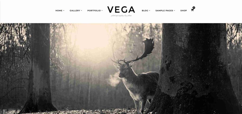 Vega - Photography WordPress Theme