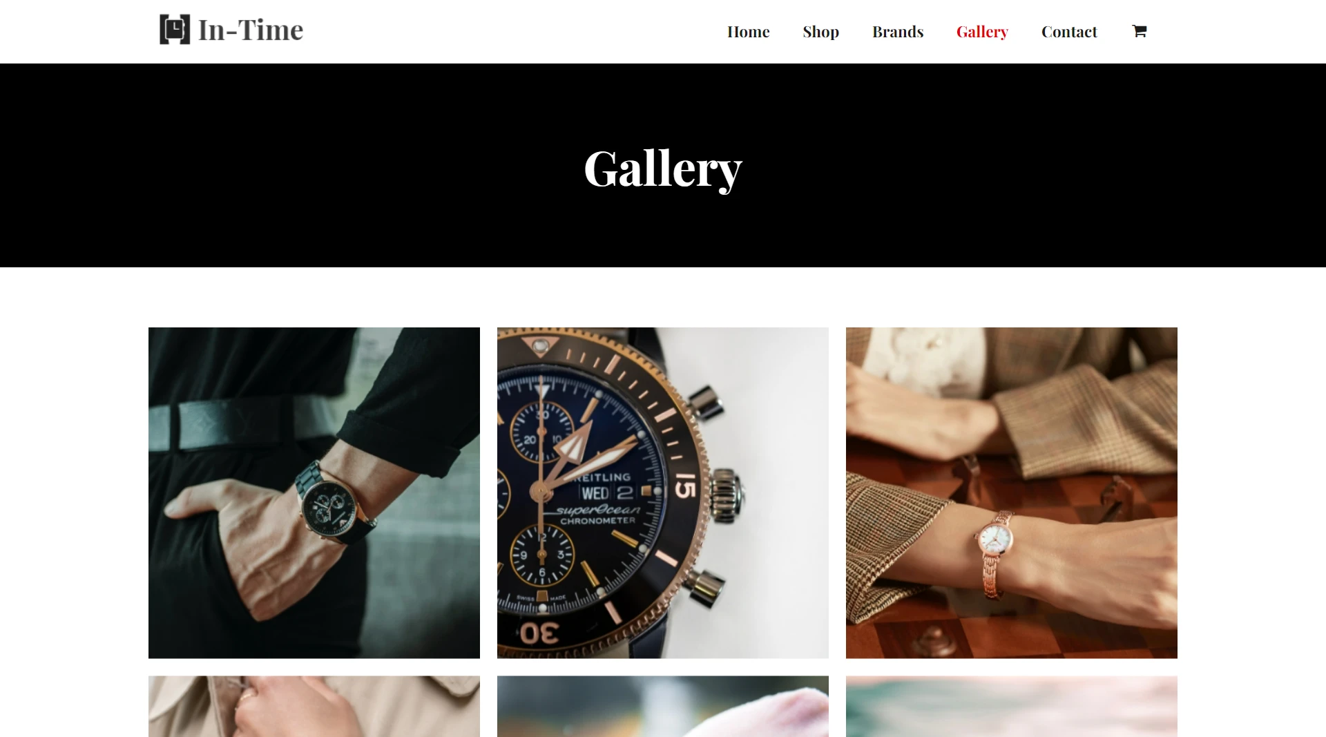 Watch-Store-Gallery