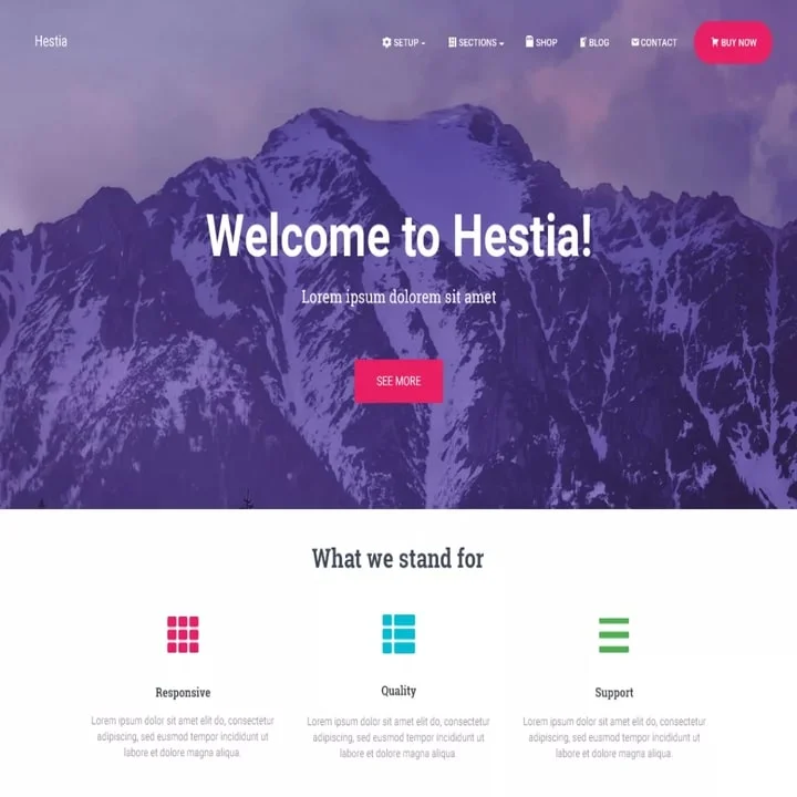 Hestia WordPress Theme with slider
