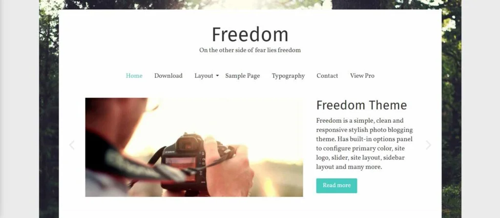 Freedom - WordPress Artist Theme 