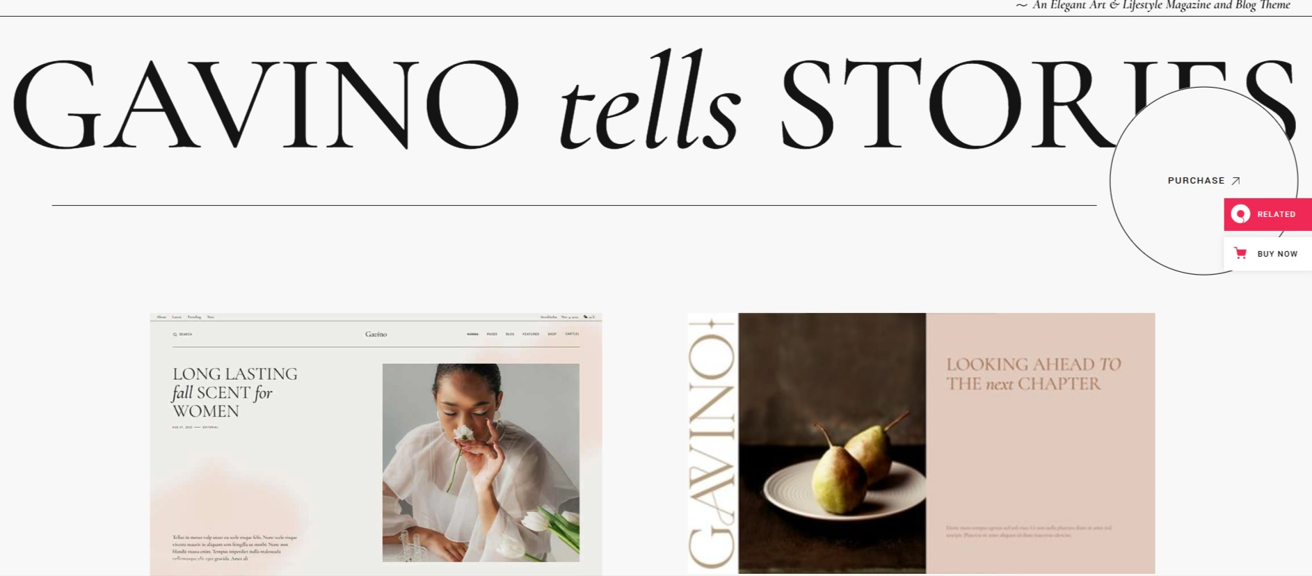 Gavino Social Media WordPress Theme