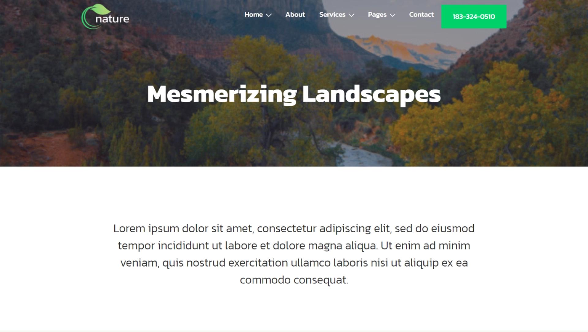 nature WordPress template - Landscape page