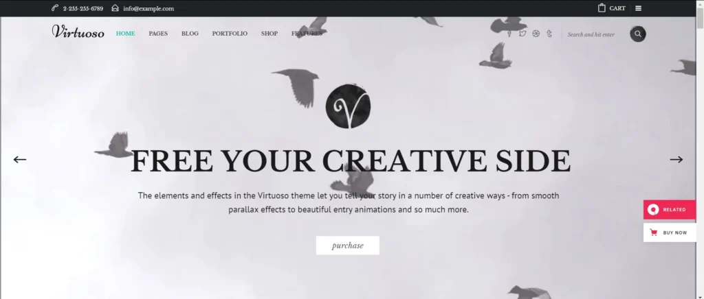 Virtuoso WordPress theme