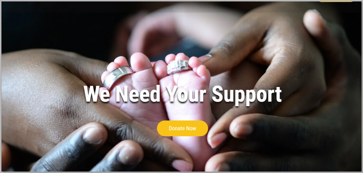 Fundraiser Lite theme