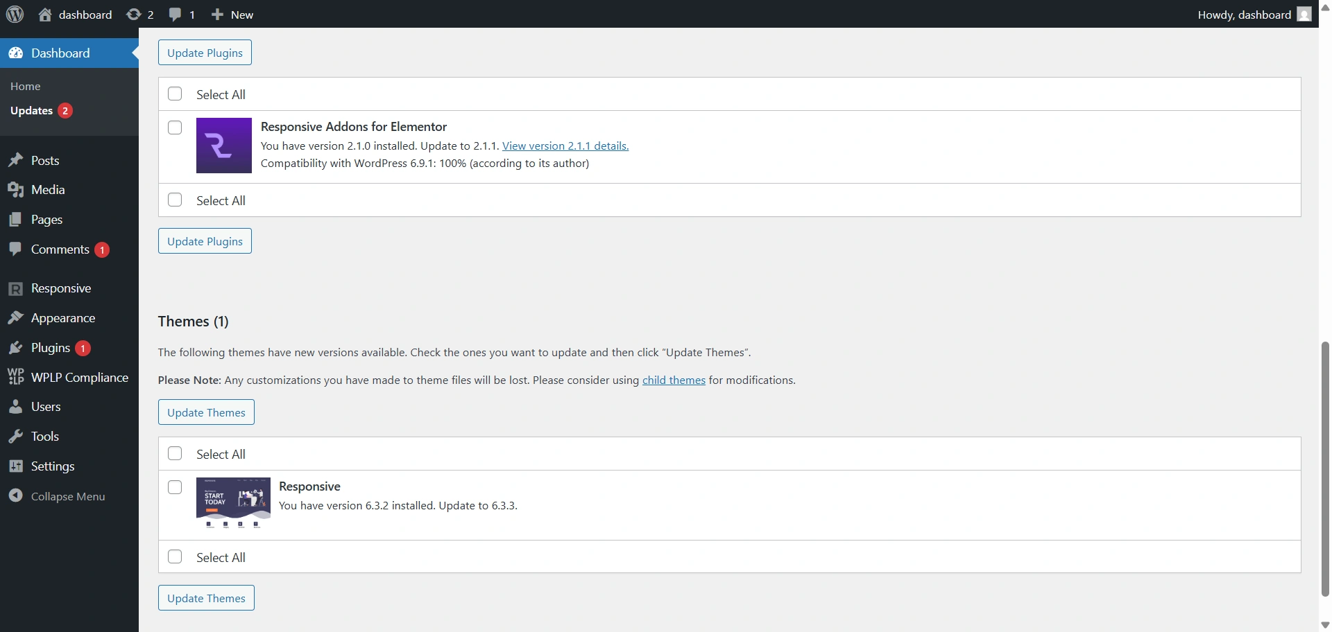 Update Themes and Plugins