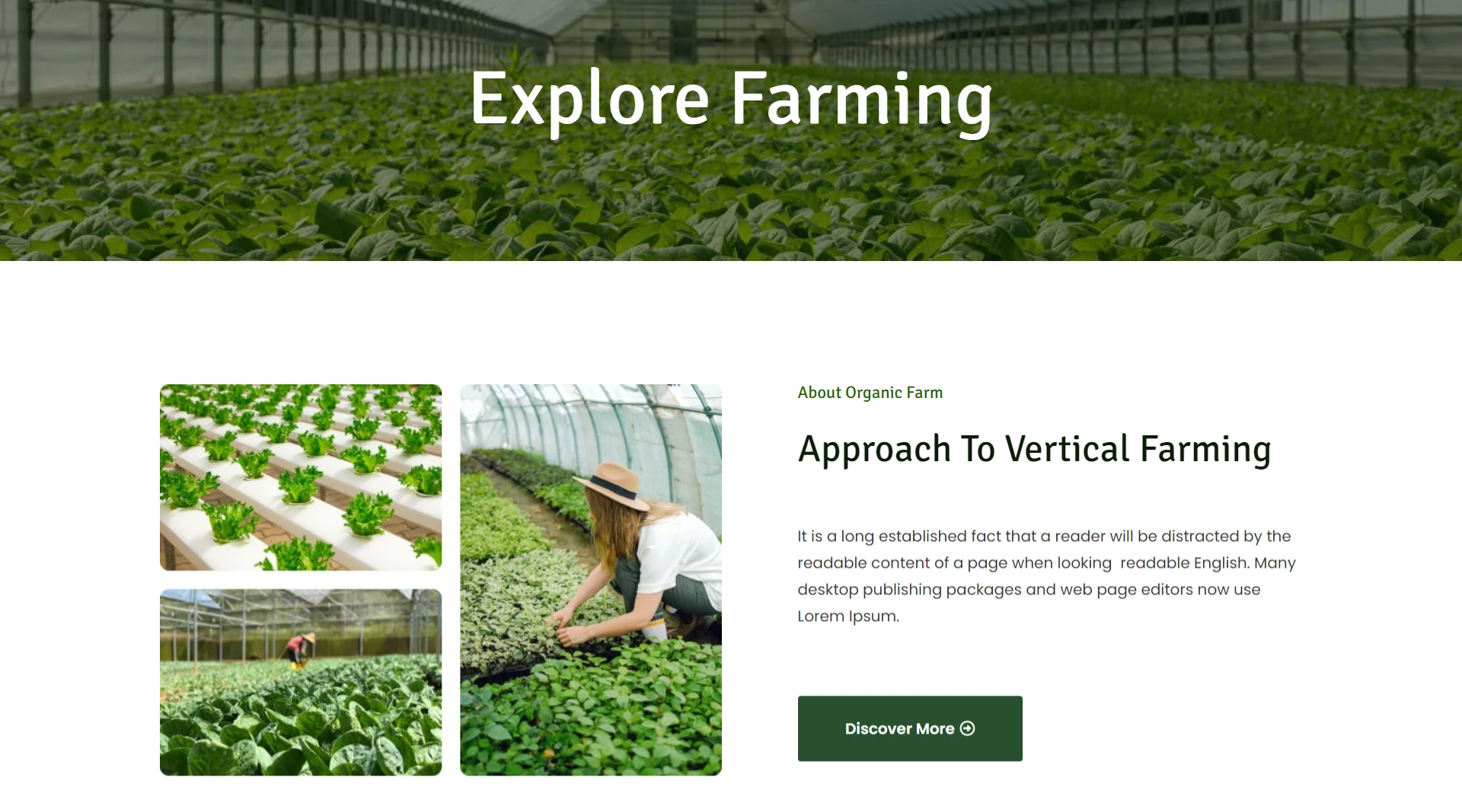 farmer website template