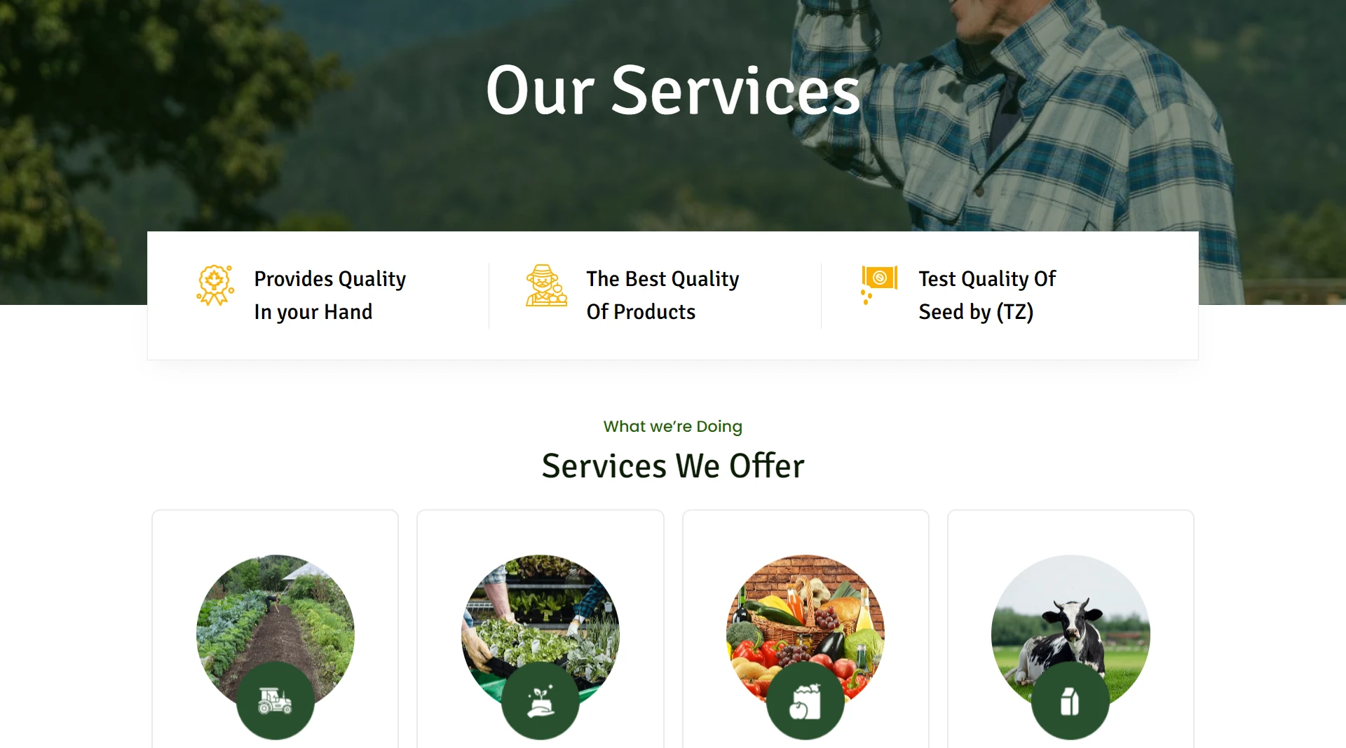 farmer WordPress template - Our Services Page