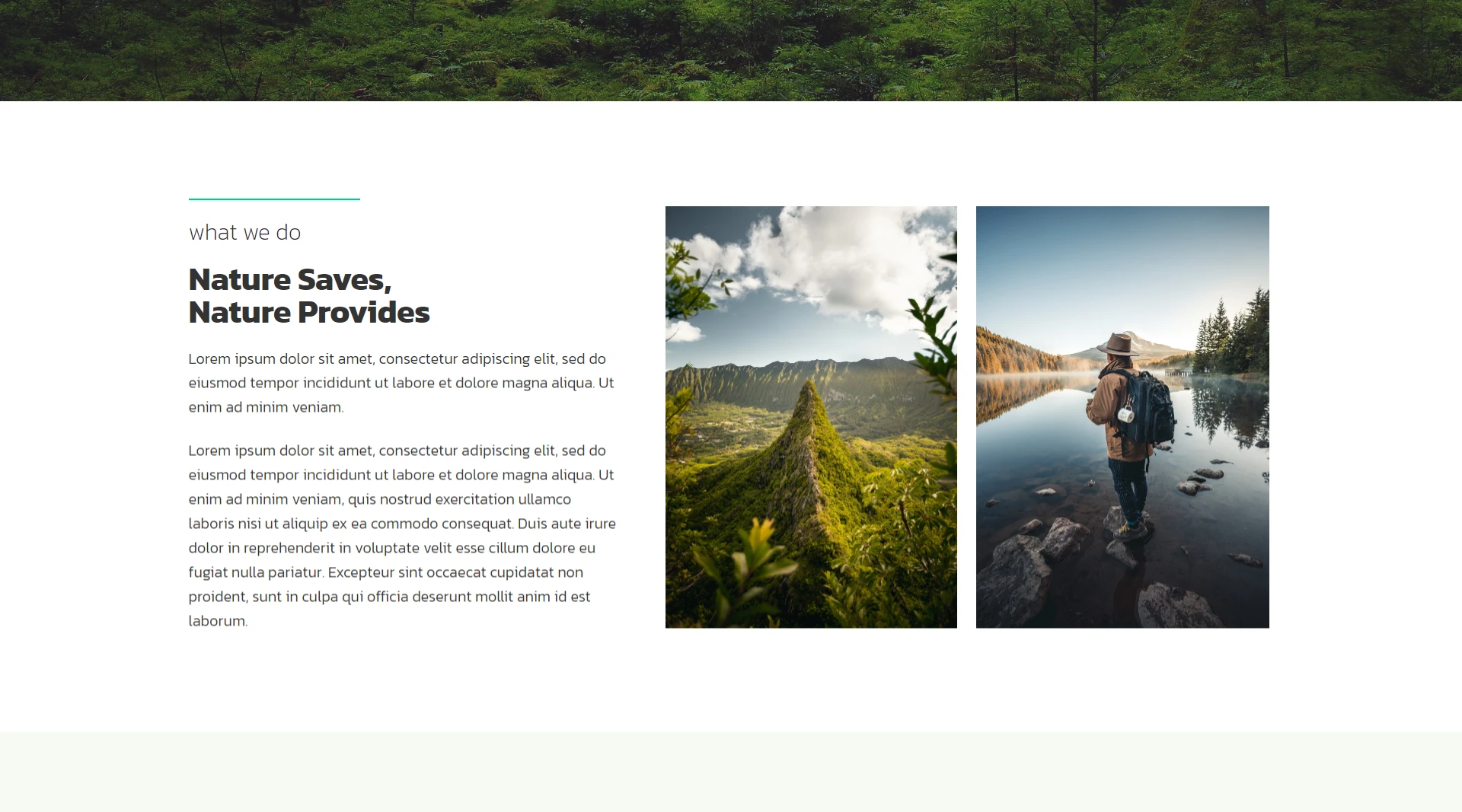nature WordPress templates