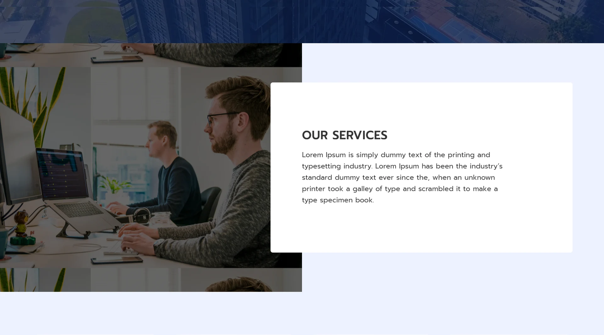 Consultancy - Services