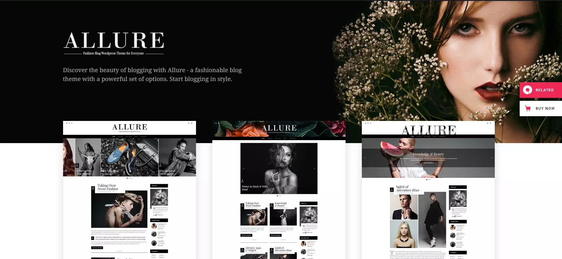 Allure Beauty Blogging Theme