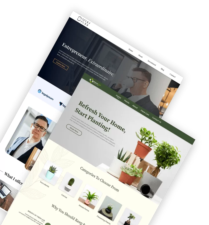 launch your website with Responsive theme