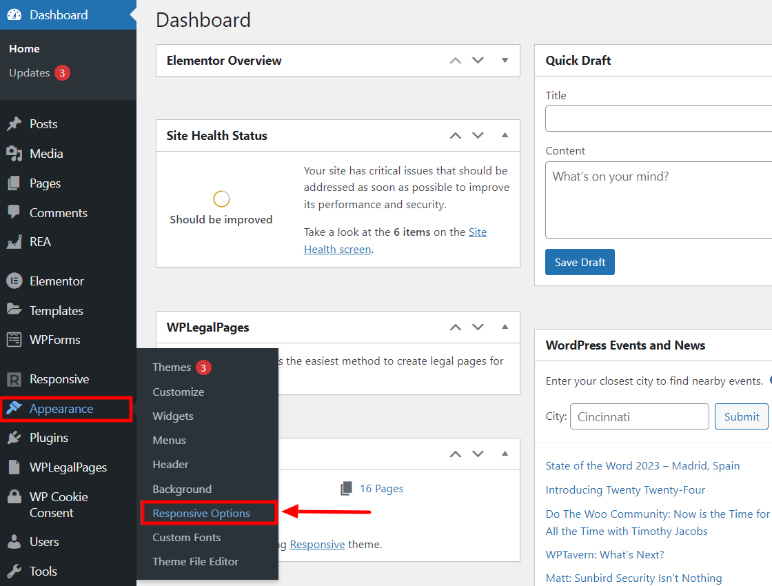 Navigating to Responsive Options from dashboard