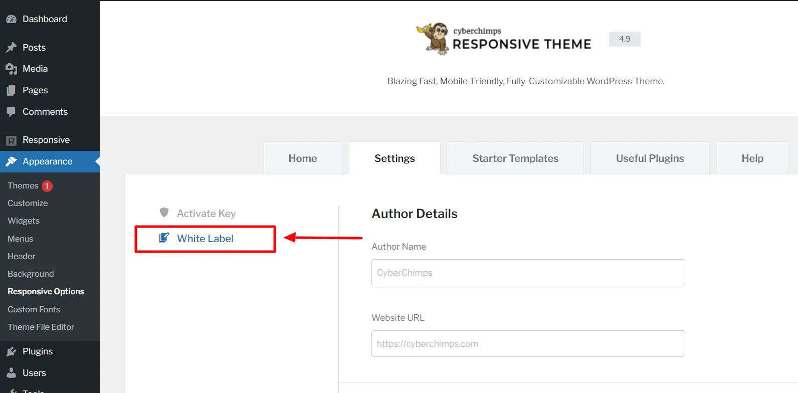 Navigating to Responsive Options from dashboard