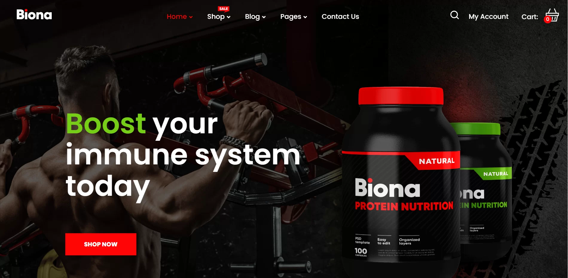 Biona- Sports Nutrition WordPress Theme