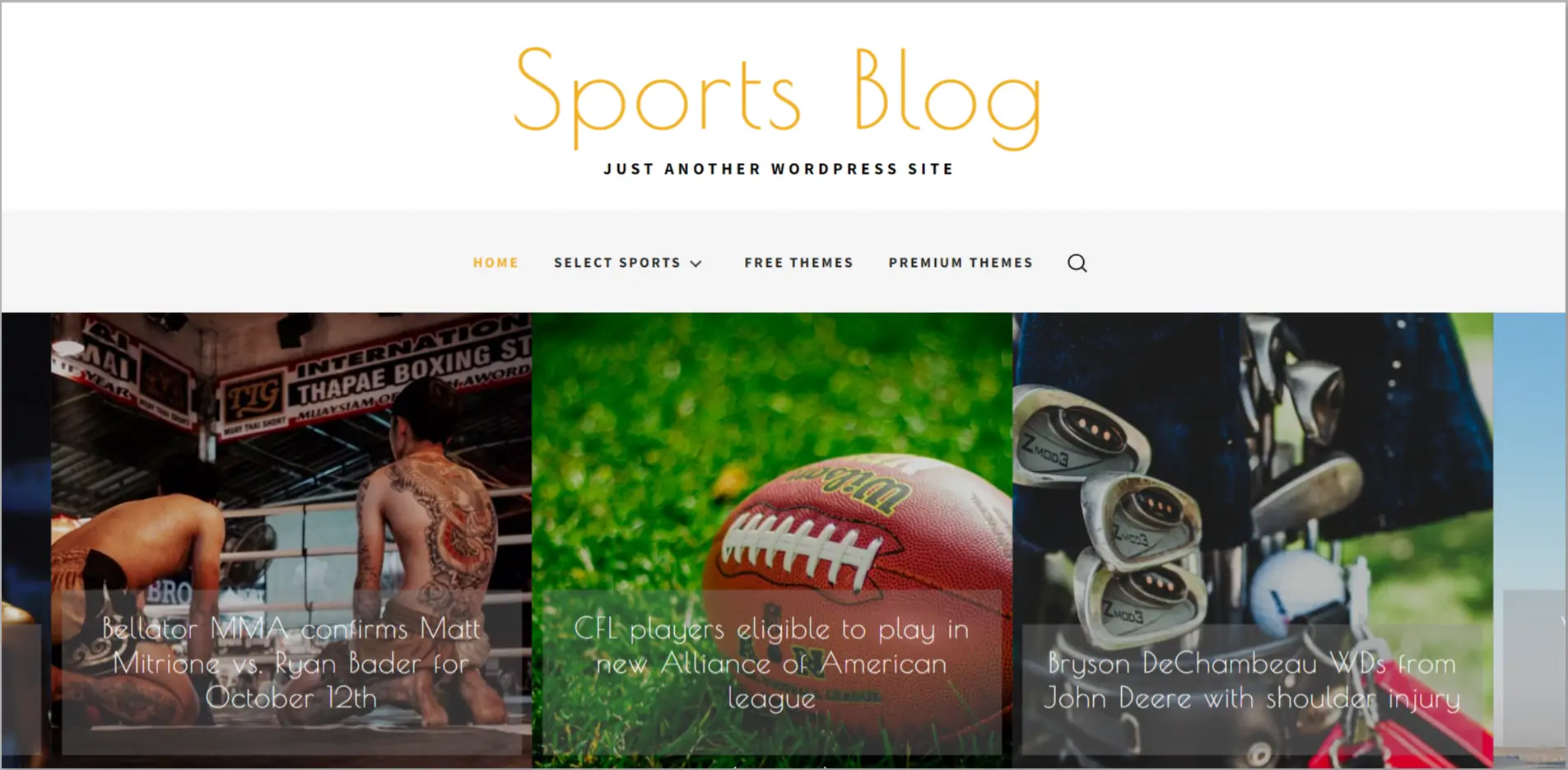 Sports Blog WordPress Theme 