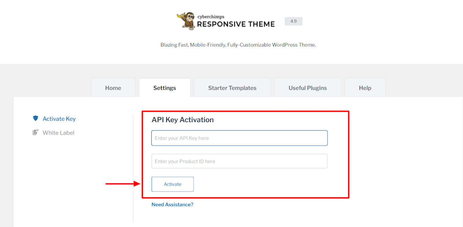 API Activation for Responsive Pro