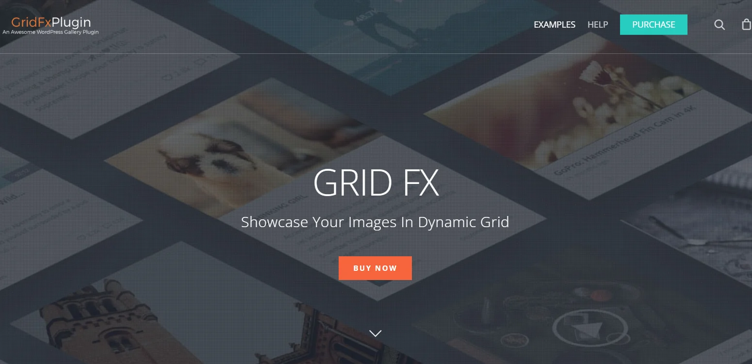 GRID FX wordpress plugin