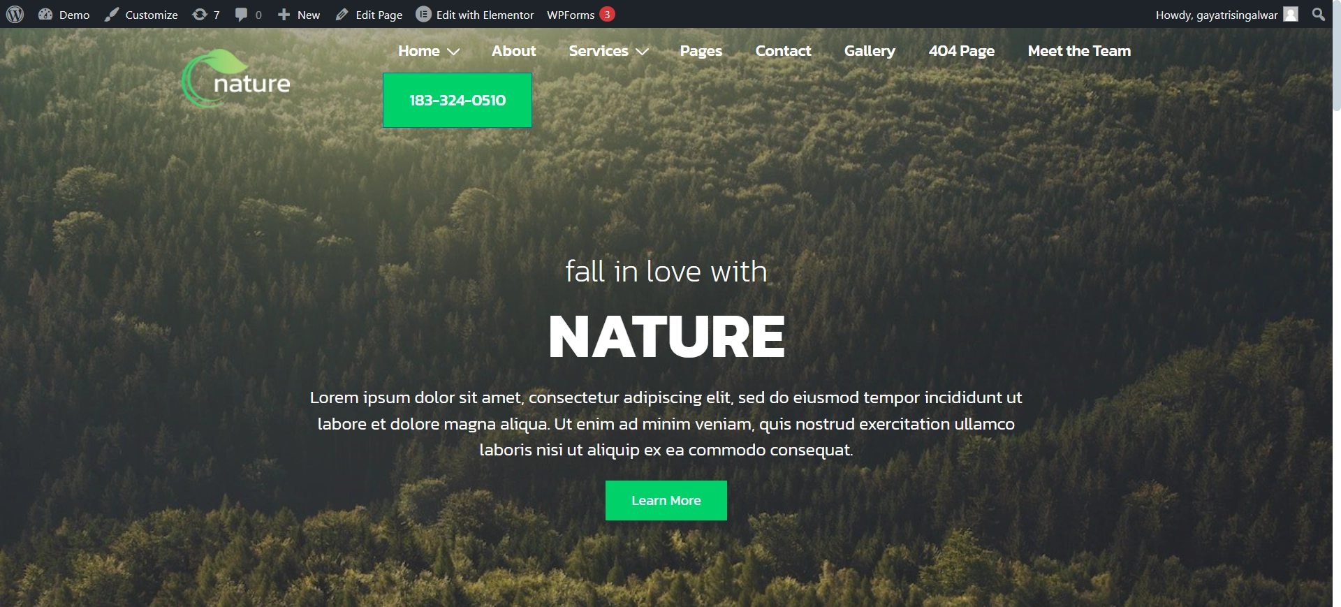 Nature WordPress template