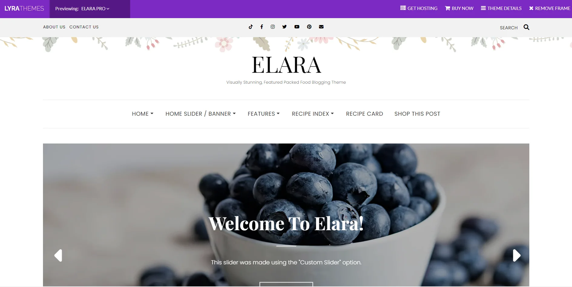 Elara Theme
