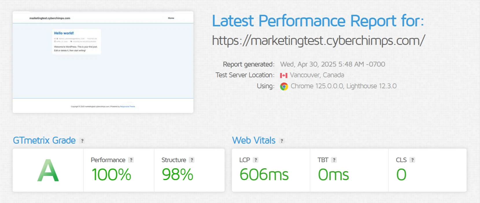 responsive theme Gtmetrix results